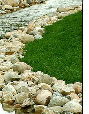 Fluid Elements River