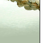 Fluid Elements River